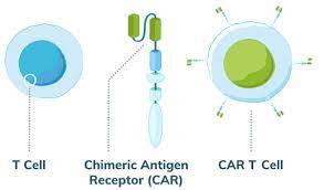 CAR T-Cell Therapy