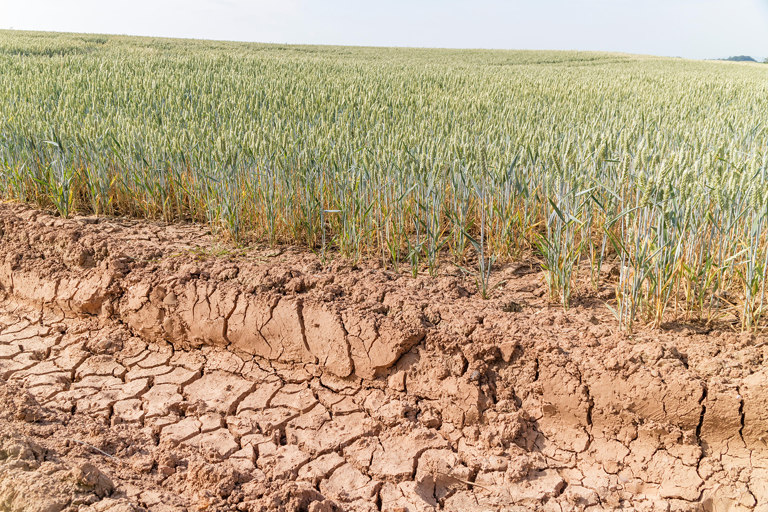 Climate Vulnerability Index